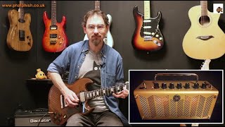 Electric Guitars And Acoustic Amplifiers