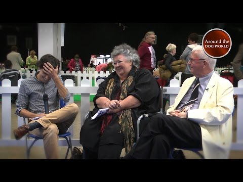 Around the Dog World - Highlights of everything! Teaser