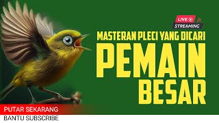 Download lagu 🔴 LIVE masteran PLECI Paling Dicari Pemain Besar TEMBAKAN VARIASI #masteranplecivariasi mp3 Download lagu 🔴 LIVE masteran PLECI Paling Dicari Pemain Besar TEMBAKAN VARIASI #masteranplecivariasi mp3