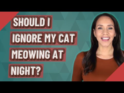 Should I ignore my cat meowing at night?