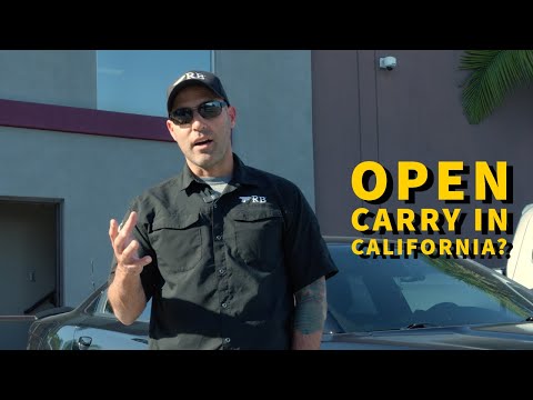 Baird v. Bonta Explained: What the Case Really Means for Carry Laws