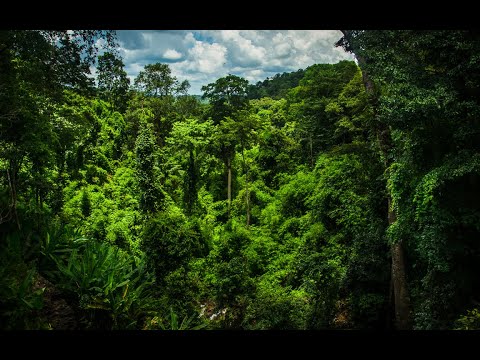 download lagu mp3 mp4 Trek Au Cambodge, download lagu Trek Au Cambodge gratis, unduh video klip Trek Au Cambodge