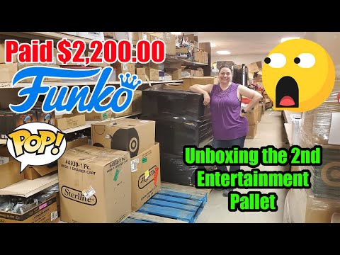 Unboxing the missing Pallets - They are full of Entertainment items - I paid $2,200.00