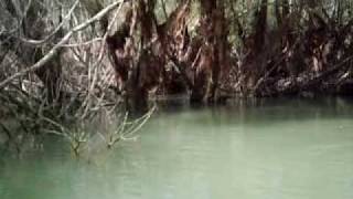 villetta barrea lago vacanze 2008