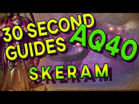 Prophet Skeram - 30 Second Guides - AQ40