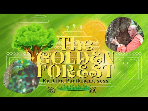 The Golden Forest - Kartika Parikrama 2022