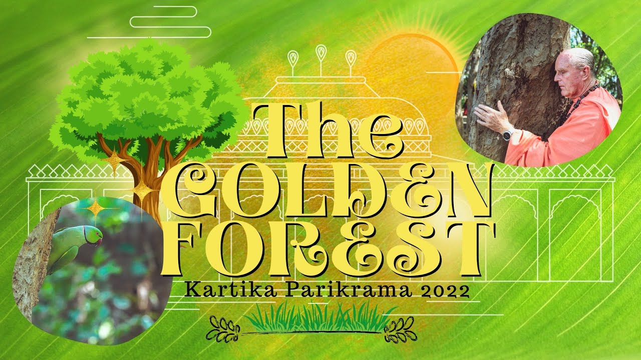 The Golden Forest - Kartika Parikrama 2022