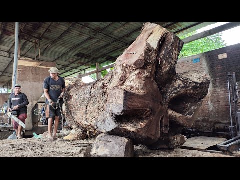 SPECTACULAR ACTION! SAWING A GIANT 400-YEAR-OLD WOOD AT THE SAWMILL 