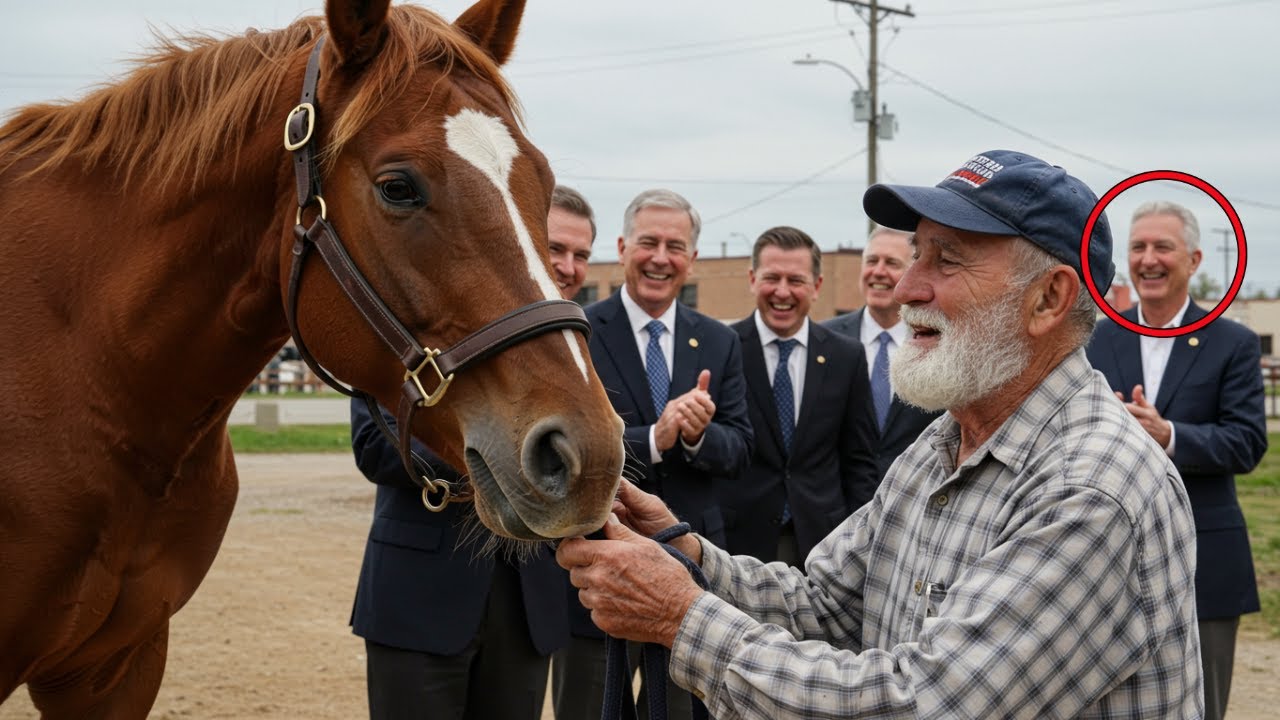 A wounded horse is thrown away like trash and SOLD FOR PENNIES... an old man gives it new life.