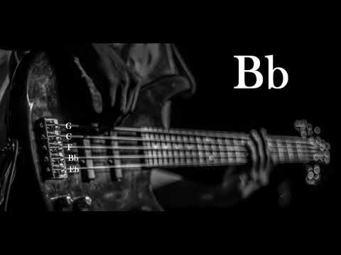5 String Bass Two Step Down Tuning ♪