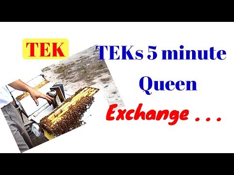 5. 11 TEK's  5 minute Queen Exchange
