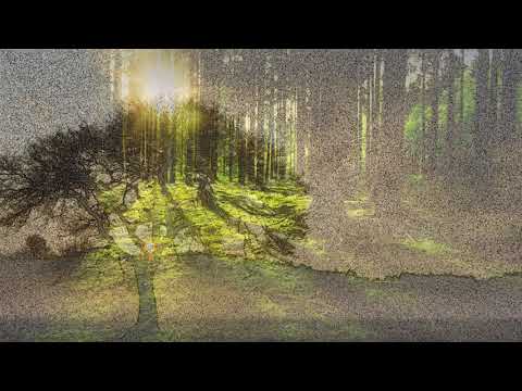 Day 23 Throat Alignment By Matias De Stefano