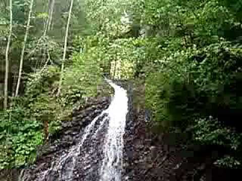 Carpathian Waterfall - Zheneckiy