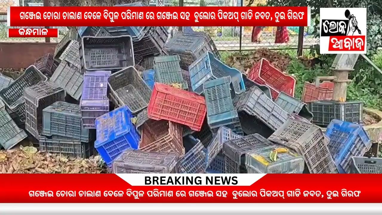 ଗଞ୍ଜେଇ ଚୋରା ଚାଲାଣ ବେଳେ ବିପୁଳ ପରିମାଣ ରେ ଗଞ୍ଜେଇ ସହ  ବୁଲୋର ପିକଅପ୍ ଗାଡି ଜବତ/ ଦୁଇ ଗିରଫ