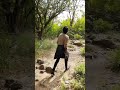 Kaarkuzhal Kadavaye Cover Song Nazeran Vishal A Walk In The Woods