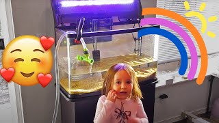 Set up her first Aquarium. Kids and Family Aquarium Project.