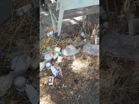 Սամվել Ալեքսանյանի արտադրամասի հարակից տարածքը աղբանոցի է վերածվել