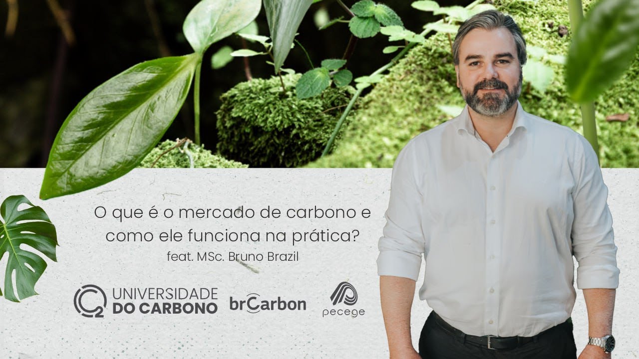 O que é o mercado de carbono e como ele funciona na prática?