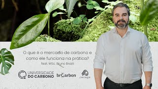 O que é o mercado de carbono e como ele funciona na prática?