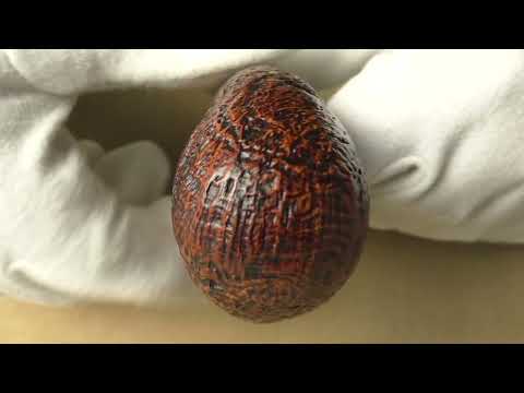 Ser Jacopo Delecta S2 B - pipe 2192