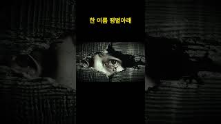 Download lagu 조선의 비극, 8일간의 기록 #미스터리 #역사미스터리 #조선시대 mp3