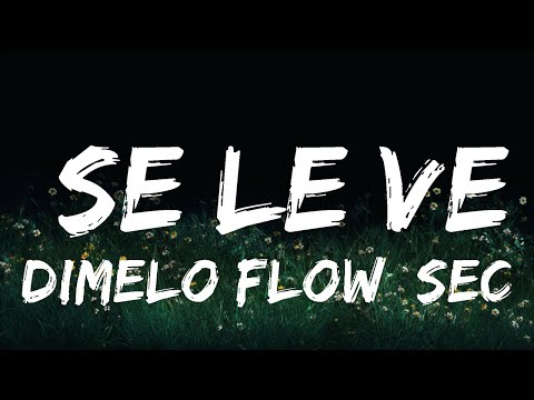 Dimelo Flow, Sech, Lenny Tavarez, Arcangel, De La Ghetto, Justin Quiles, Dalex - Se Le Ve | Top Be