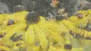 summer modest mouse so much beauty in dirt