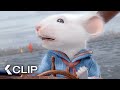 A Tiny Captain S Big Race STUART LITTLE Clip 1999 Jonathan Lipnicki Michael J Fox