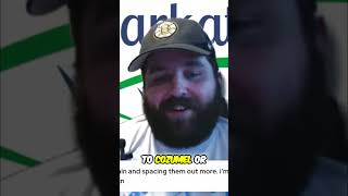 Cruising Burnout: Is It Real? Your Questions Answered! #shorts