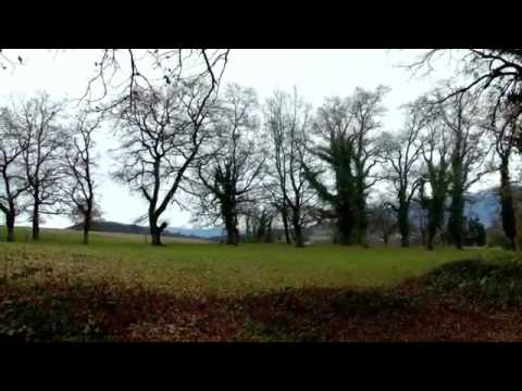 David Puentez - Harmonia (Official Video by MaxBird) [HD]