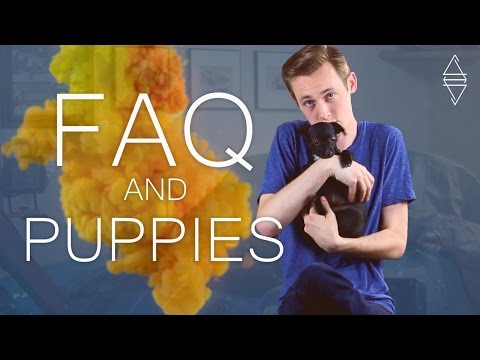FAQ & Puppies - Album Update #2