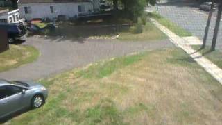 OUTSIDE MY WINDOW BY SARAH BUXTON