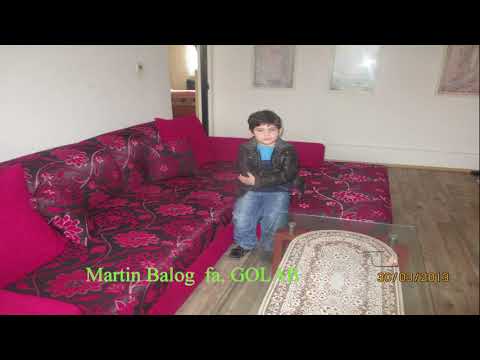 Martin Balog  fa, GOLAB