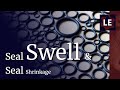 Why do oils shrink or swell seals?