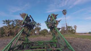 Monkey Tree by Mother Mother with bars and tone