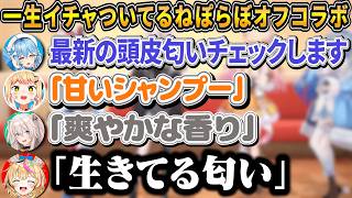 オフコラボでてぇてぇ供給中に突如始まる頭皮の匂いチェック【ホロライブ/桃鈴ねね/尾丸ポルカ/雪花ラミィ/獅白ぼらたん/ねぽらぼ/切り抜き】