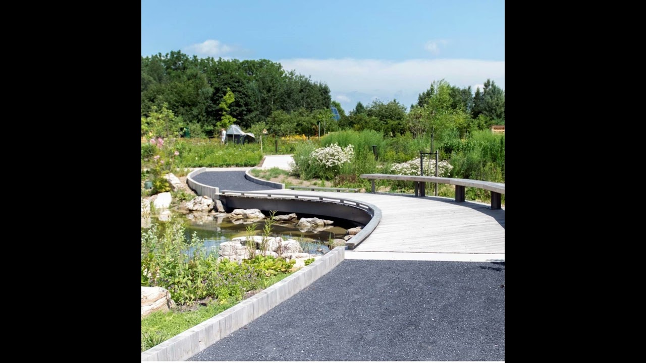 Season 1 Episode 25: Landscape Design with Claudia West of Phyto Studio