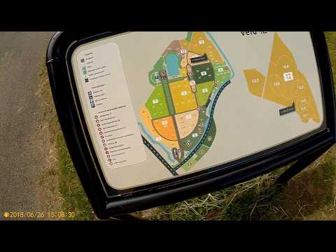 Cemetary Selwerderhof Groningen In The Summer by Dutch Bike Blogger (WH 26-06-18)