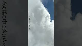 パラグライダーで龍の巣の中に迷い込む