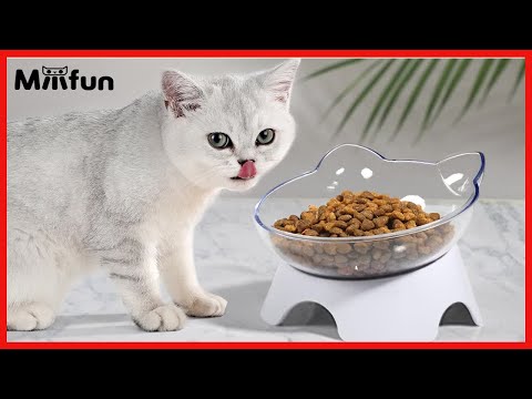 MILIFUN Cat Bowl, Anti Spill Tilted Cat Food Bowls, Whisker Fatigue Elevated Cat Bowls, Set for Cat