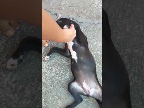 Vídeo de Zara