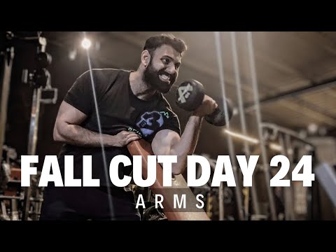 Fall Cut Day 24 - Arms | SAM SULEK