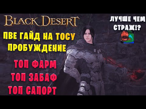 ТОСА пробуждение | Мини ПВЕ гайд:  Скилы и комбо для фарма | Мнение о персонаже. (Black Desert)