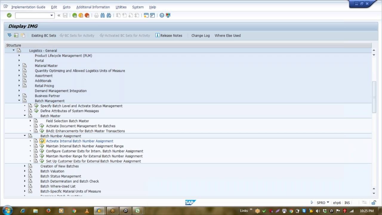 SAP Batch Management Config and Concept