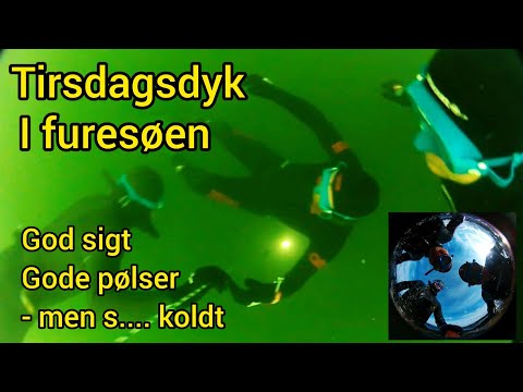 Tirsdagsdyk i furesøen