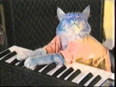 Rj Kumar Version of I Killed Keyboard Cat 2016 Reversed