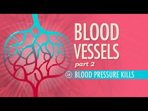 Crash Course Anatomy Physiology Preview