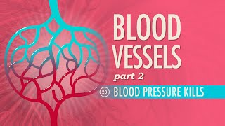 Blood Vessels, part 2: Crash Course A&P #28