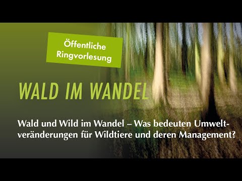 Wald und Wild im Wandel: Was bedeuten Umweltveränderungen für Wildtiere und deren Management?