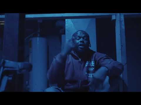 West Pad Bear - Temp Check